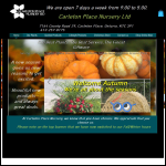 Screen shot of the Peter Carleton Ltd website.