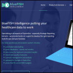 Screen shot of the Bluefish Intelligence Ltd website.