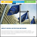 Screen shot of the Network Strategy Ltd website.