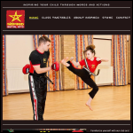 Screen shot of the Inspired Martial Arts Ltd website.