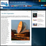 Screen shot of the Ska Organisation website.