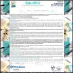 Screen shot of the Soudini Ltd website.