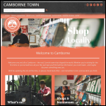 Screen shot of the Bid Camborne website.