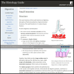 Screen shot of the Chyme Network website.