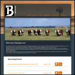 Screen shot of the Bullrush Management Ltd website.