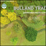 Screen shot of the Bulland Ltd website.