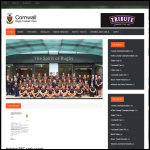 Screen shot of the Denis Cup Ltd website.