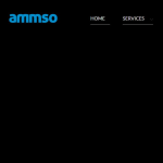 Screen shot of the Ammso Ltd website.