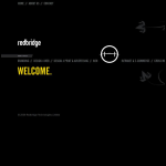 Screen shot of the Redbridge Technologies Ltd website.