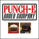 Screen shot of the Punch-e.com website.
