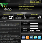 Screen shot of the BigCat Mobile Ltd website.