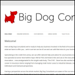 Screen shot of the Big Dog Associates Ltd website.