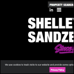 Screen shot of the Shelley Sandzer & Co website.
