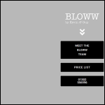 Screen shot of the Bloww Hair & Beauty Ltd website.