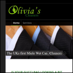 Screen shot of the Robert & Olivia Cleaners Ltd website.