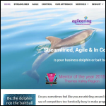 Screen shot of the Agileering Ltd website.