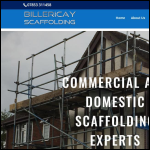 Screen shot of the Billericay Scaffolding Ltd website.