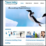 Screen shot of the Equs India Ltd website.