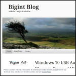 Screen shot of the Bigint Ltd website.