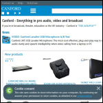 Screen shot of the Canford Audio plc website.