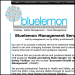 Screen shot of the Bluelemon Management Services Ltd website.