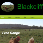 Screen shot of the Blackcliffe Ltd website.
