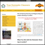 Screen shot of the True Domestic Cleaners website.