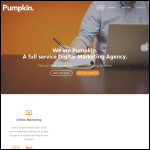Screen shot of the Pumpkin website.