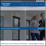 Screen shot of the Scott Sheen & Partners website.