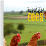 Screen shot of the Black Dog Free Range Eggs website.