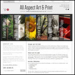 Screen shot of the All Aspect Art & Print website.