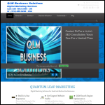 Screen shot of the QLM Business Solutions website.