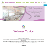 Screen shot of the ACE  BALLOONS website.