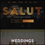Screen shot of the SALUT website.