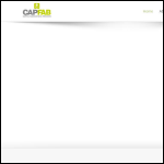 Screen shot of the Capital Fabrication Ltd website.
