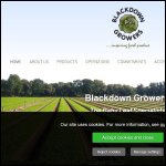 Screen shot of the Blackdown Game Ltd website.