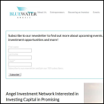 Screen shot of the Bluewater Portfolio Ltd website.