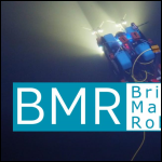 Screen shot of the Bristol Maritime Robotics Ltd website.