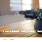 Screen shot of the Cambridge Agile Solutions Ltd website.