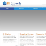 Screen shot of the BI XPERTS Ltd website.