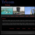 Screen shot of the Tricom Group Ltd website.