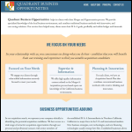 Screen shot of the Quadrant Business Services - Software Development website.