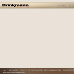 Screen shot of the Brinkman & Martin Engineering website.