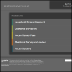 Screen shot of the South East Surveys website.