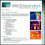 Screen shot of the Electro Surveys website.