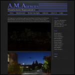 Screen shot of the AM Agencies website.