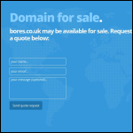 Screen shot of the Borer Data Systems Ltd website.